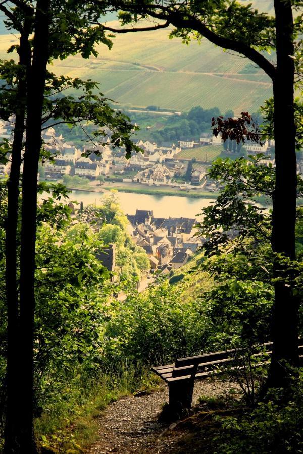 Mosel Panorama Apartamento Zell an der Mosel Exterior foto