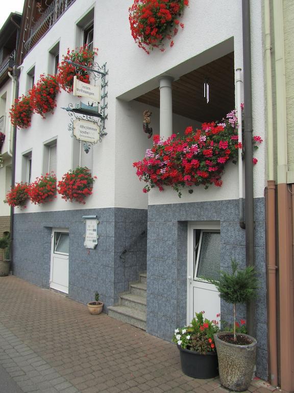 Mosel Panorama Apartamento Zell an der Mosel Exterior foto