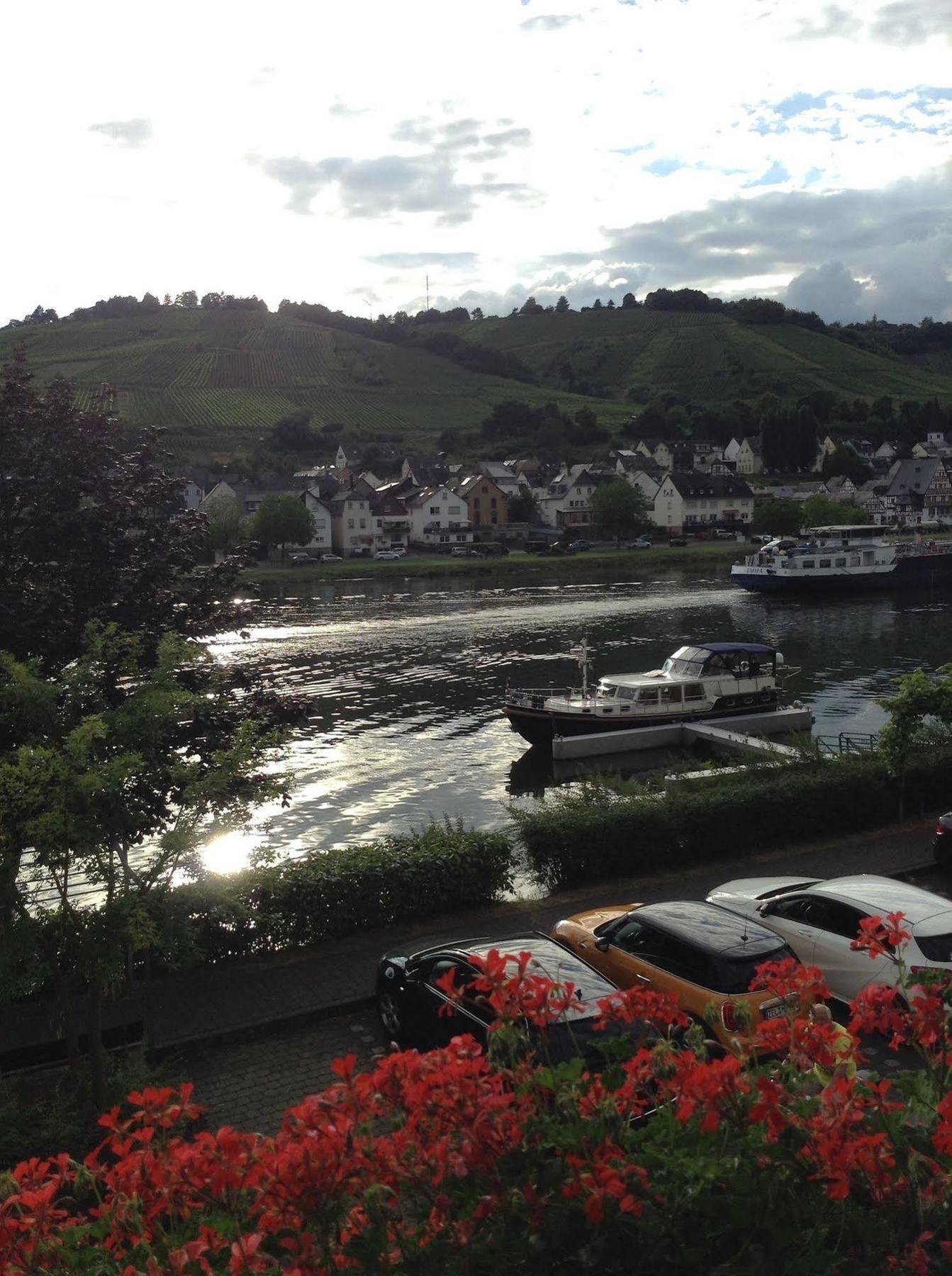 Mosel Panorama Apartamento Zell an der Mosel Exterior foto